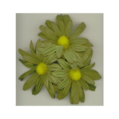 Ljusmanschett Gerbera