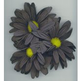 Ljusmanschett Gerbera