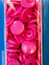 Color Snaps Runda Rosa