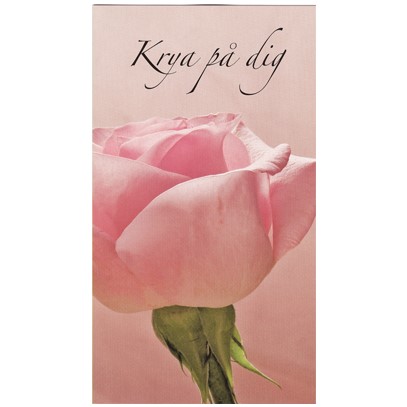 Krya på dig Rosa ros
