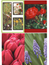 10 vykort med blommotiv