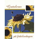 500-pack vykort