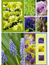 10 vykort med blommotiv