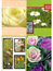 10 vykort med blommotiv