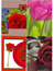 10 vykort med blommotiv