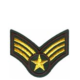 Emblem guldvingar stjärna 920087