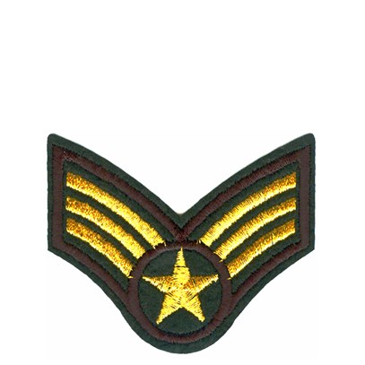 Emblem guldvingar stjärna 920087