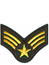 Emblem guldvingar stjärna 920087