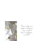 Varmt tack för blommor och fondgåvor