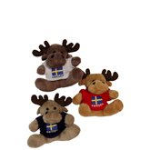 Kylskåpsmagnet Goseälg med tröja