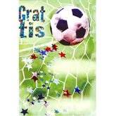 Fotboll i nätet