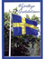 10 vykort med grattis