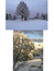 10 vykort Höst & Vinter