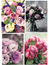 10 vykort med blommotiv