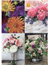 10 vykort med blommotiv