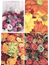 10 vykort med blommotiv