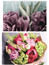 10 vykort med blommotiv