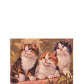 Tre kattungar 21240