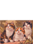 Tre kattungar 21240
