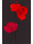 Utan text Rosa blommor