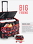 Trolley Big Friend