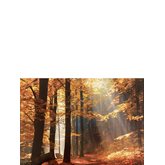 Höst i skogen