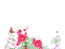 Fjärilar och blommor