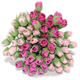 Rosenknoppspaket -  0,8cm - 100st - Rosa