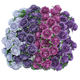 Pappersrosor - Mixade -  1cm - 100st - Lila