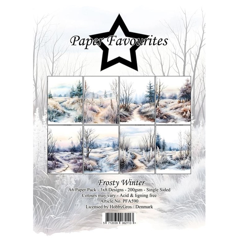 Scrapbookingpapper - A6 - Frosty Winter