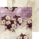 Paper pack - 15x15 cm - Plum & Caramel