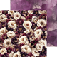 Paper pack - 15x15 cm - Plum & Caramel