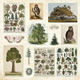 Sticker Book - Enchanted Forest - 50 sidor