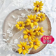 Craft & You Dies - Clematis