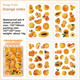 Stickers - Clear - 4st ark - Orangea frukter