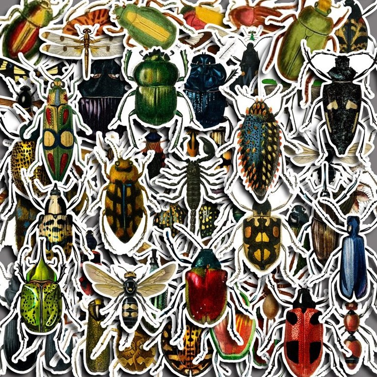 Stickers - Insekter - 50st