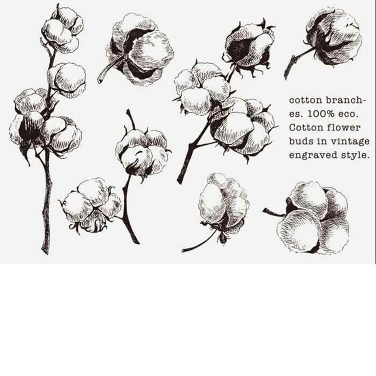 Clearstamps - Bomullsblommor