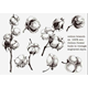 Clearstamps - Bomullsblommor