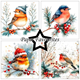 Scrapbookingpapper - 15x15cm - Christmas Birds
