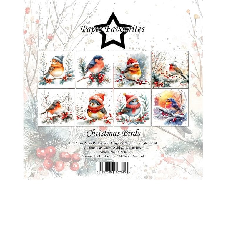 Scrapbookingpapper - 15x15cm - Christmas Birds