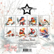 Scrapbookingpapper - 15x15cm - Christmas Birds