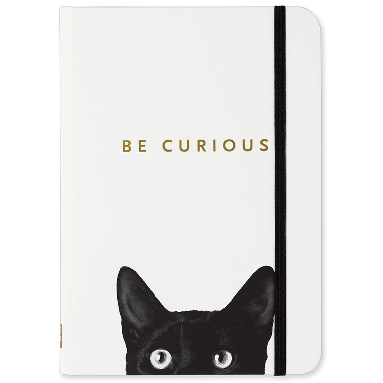 Small Journal - Curious Cats