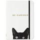 Small Journal - Curious Cats