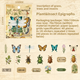 Stickers - Växter & Insekter - 40st