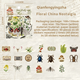 Paket med stickers - Vintage - insekter, växter & etiketter - 6st förpackningar