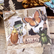 Paket med stickers - Vintage - insekter, växter & etiketter - 6st förpackningar