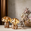Glaslampa Funghi