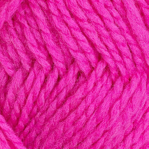 Rosa 13