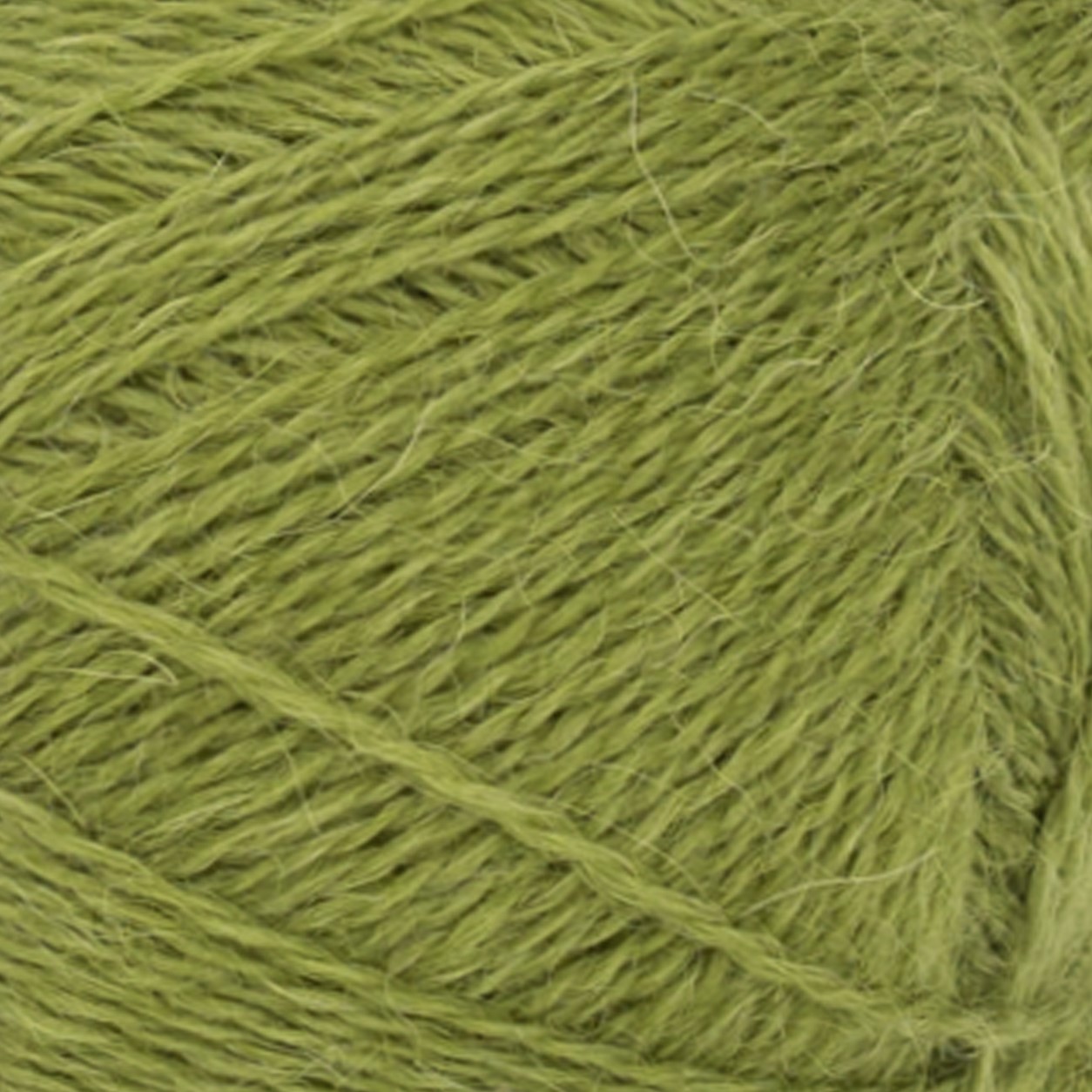 Matcha 9564
