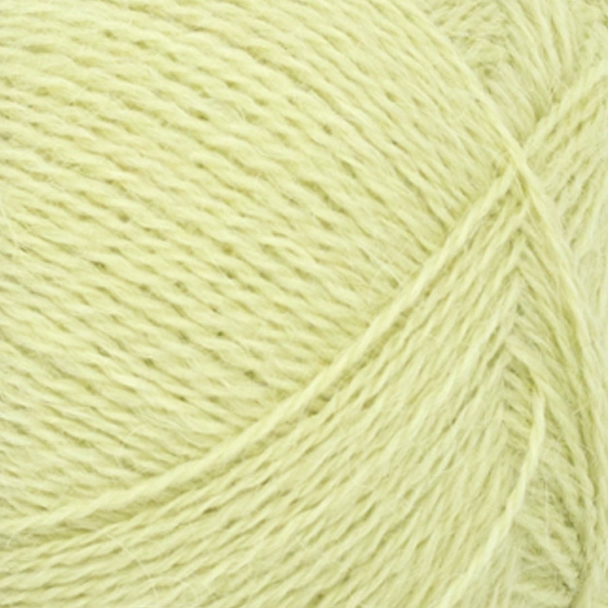 Lime Punch 9523